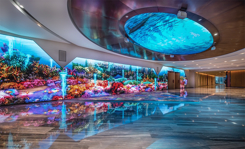 Z6·尊龙「中国区」官方网站