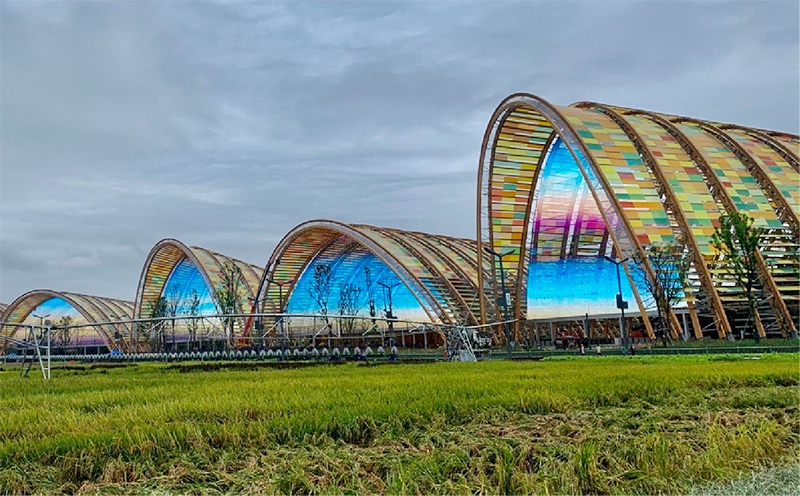 Z6·尊龙「中国区」官方网站